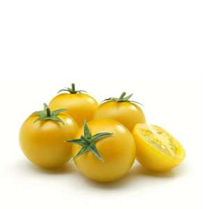 Стар Голд F1 - томат індетермінатний, 250 насінин, Esasem Італія фото, цiна